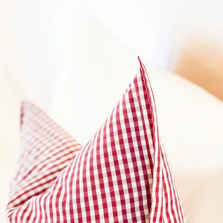 アンジェリカ ホテル ノイシュティフト・イム・シュトゥーバイタール