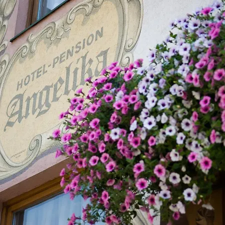 Angelika Ξενοδοχείο Neustift im Stubaital